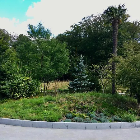 Chalet Luxe Leeuwenhart - Recreation Only Hoenderloo