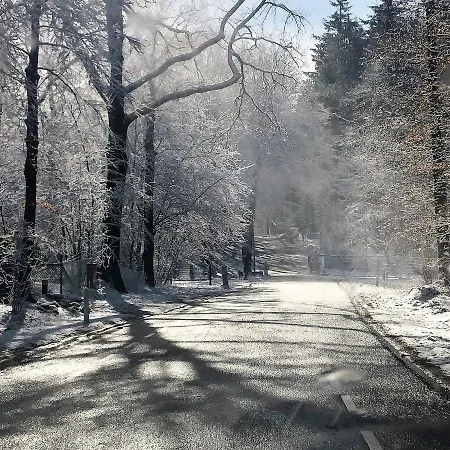 Luxe Leeuwenhart - Recreation Only