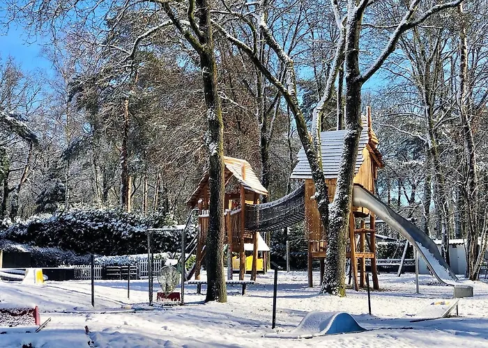 Luxe Leeuwenhart - Recreation Only *