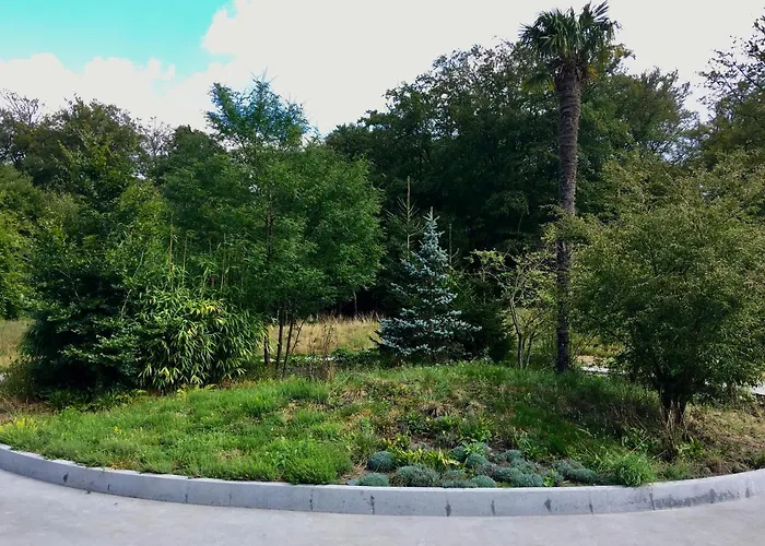 Dağ evi Luxe Leeuwenhart - Recreation Only Hoenderloo