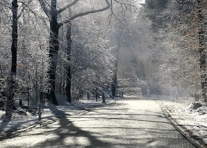 Luxe Leeuwenhart - Recreation Only